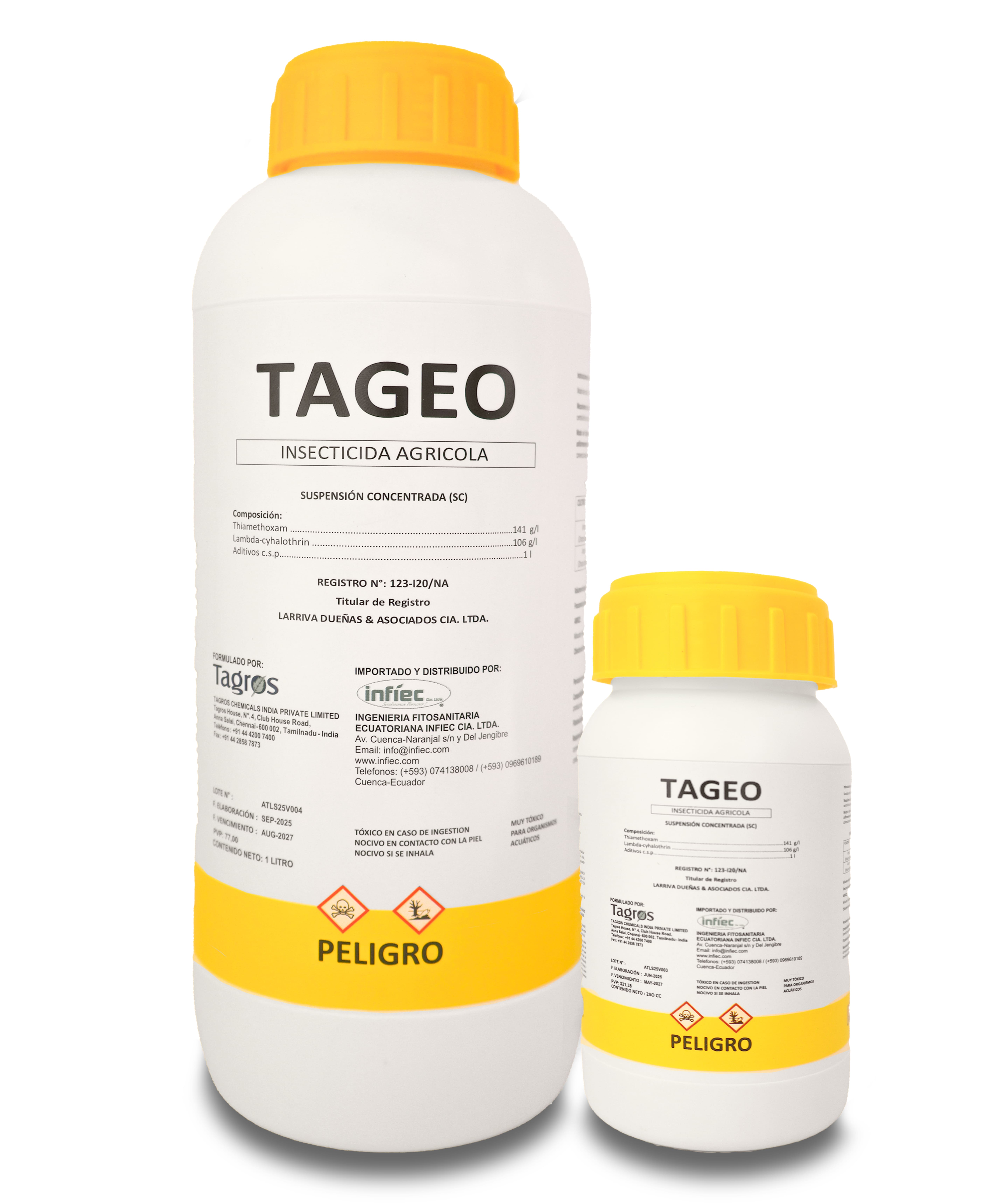 TAGEO